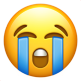 [哭唧]